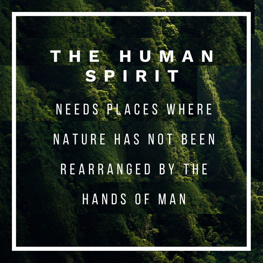 Ruthie Searcy tweet media