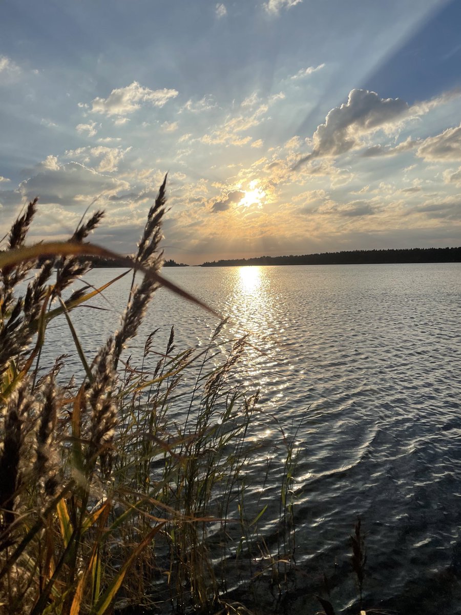 Merenranta on tuossa 50m päässä ja ulapan ranta 200m päässä. Silti sitä unohtaa käydä hengittelemässä murheet pois ja onnea tilalle.