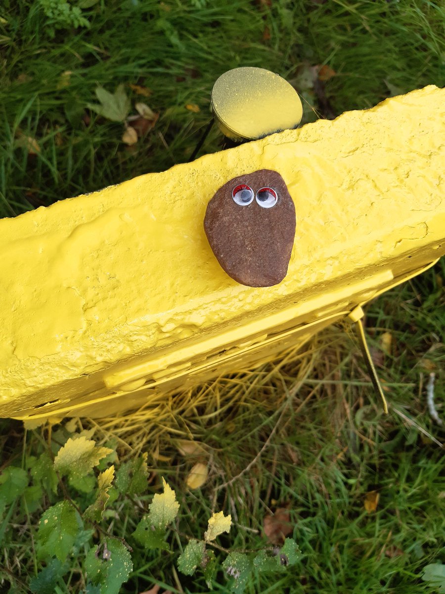 HWFRSHydrants's tweet photo. Haven't found many frogs or newts in the hydrant pits lately but in the middle of nowhere  this turned up! He didn't look so happy so I made him smile. https://t.co/8qvLo00T9w