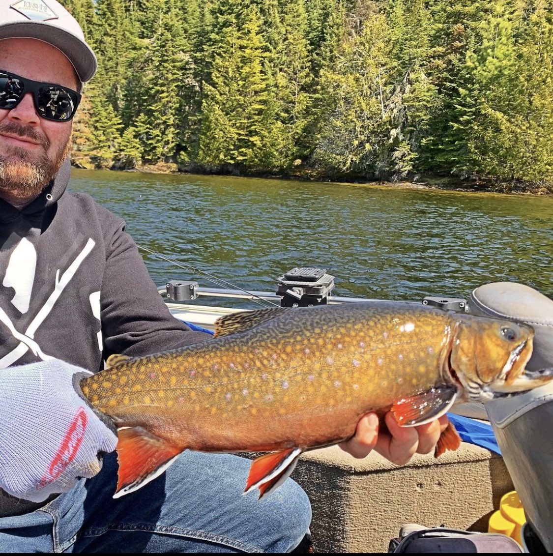 StixnStonesInc's tweet photo. What’s your favorite trout?😍

#troutfishing #troutbum https://t.co/VNGUFdpojP