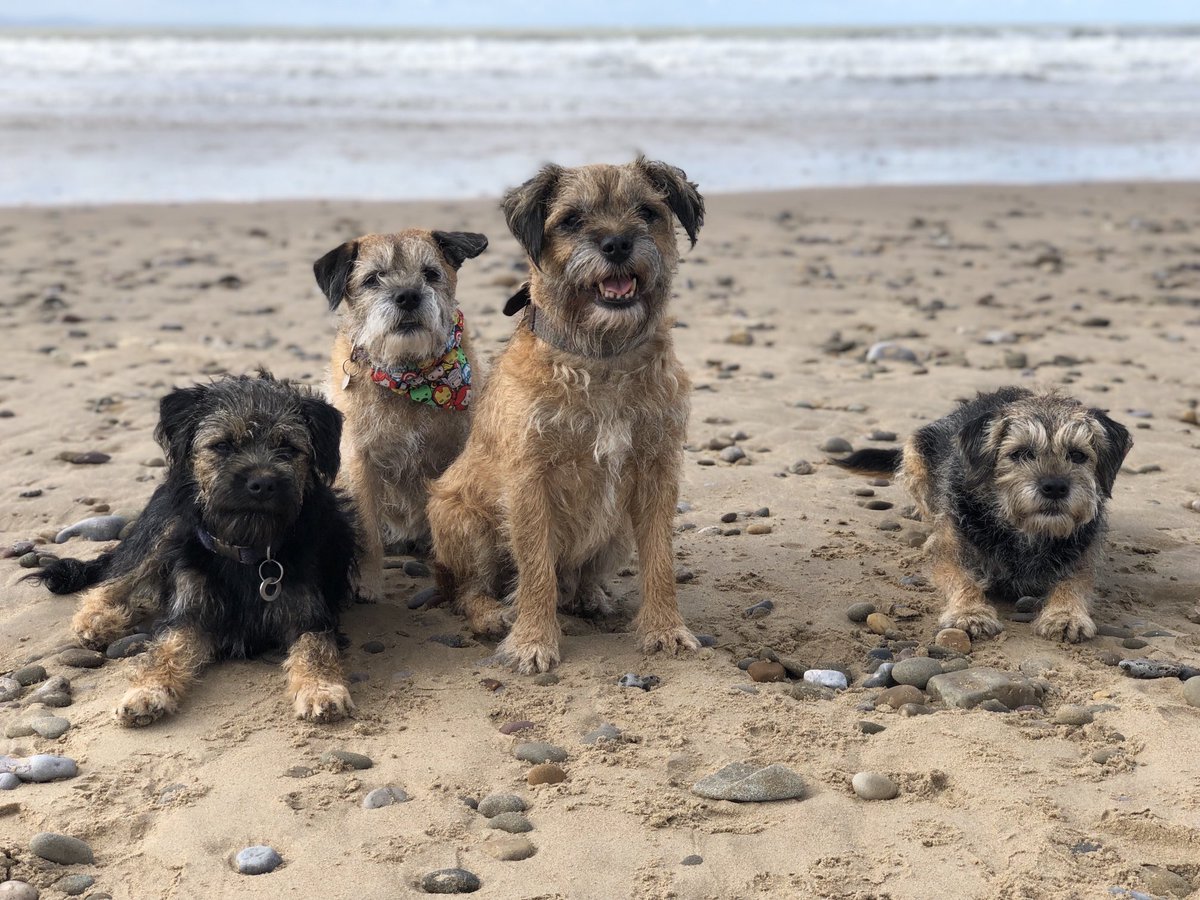 Tobi_LeRone's tweet photo. Me, my Boo &amp; the rest of the Crew! 

Taking the instruction on my “I need space” lead cover very literally 🙁 #BillyNoMates #MiniTweetUp #BeachBabes ⁦@Riley_roo888⁩ https://t.co/uWhiywB9z9