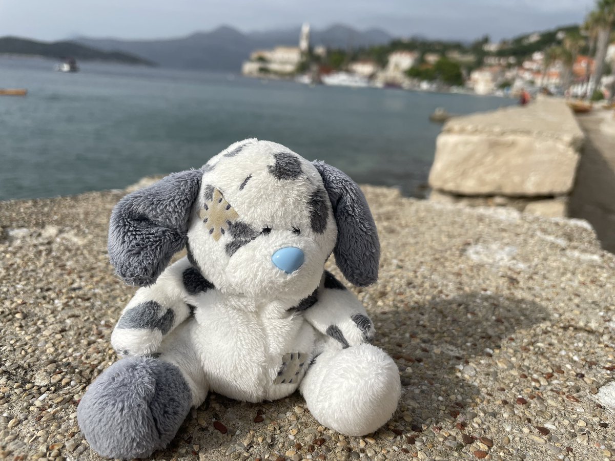 Now we have a little #dog chillaxing and sightseeing in #Croatia Splodge on #holidays