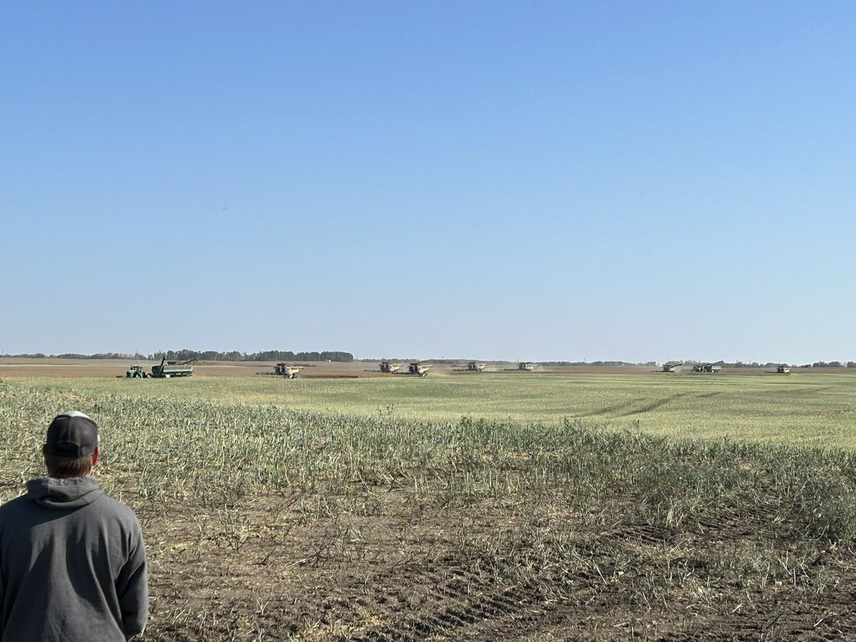 Babysitting kids and combines