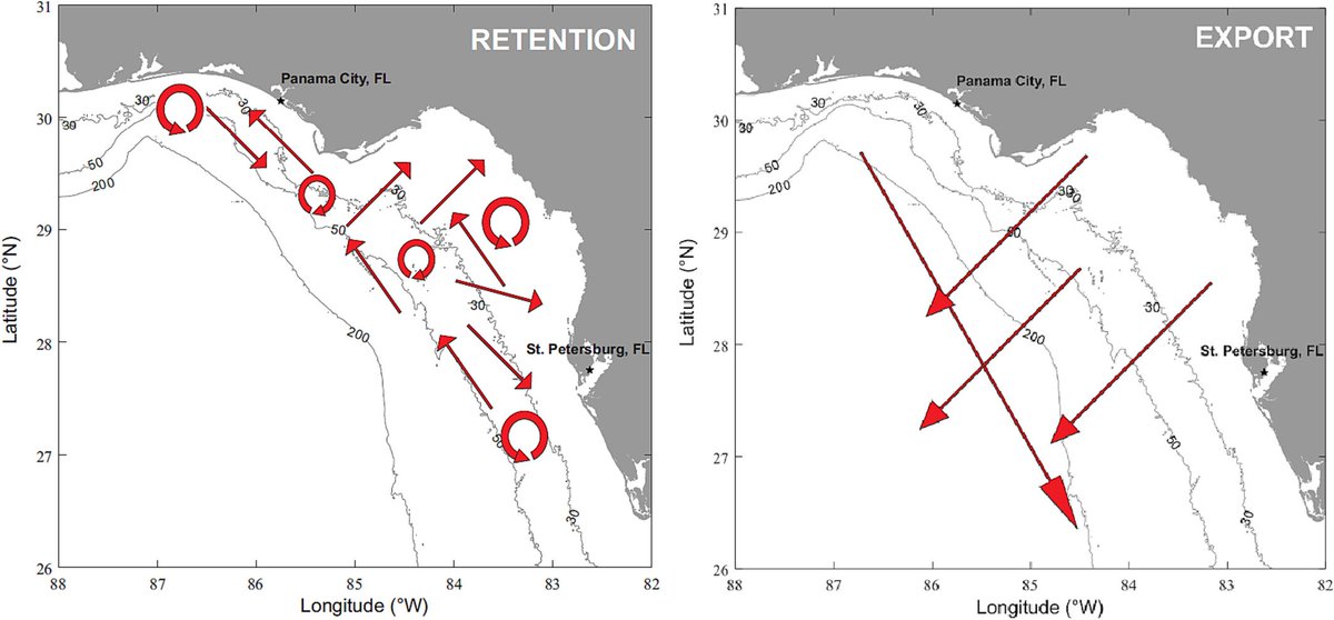 FishEcologyLab's tweet image. Latest paper from Spawning Habitat &amp;amp; Early-Life Linkages to Fisheries (SHELF) used DNA barcoding &amp;amp; PO models to estimate fish egg transport. Eggs spawned on the inner &amp;amp; middle West Florida Shelf tended to be retained and eggs from the outer shelf exported doi.org/10.1111/fog.12…