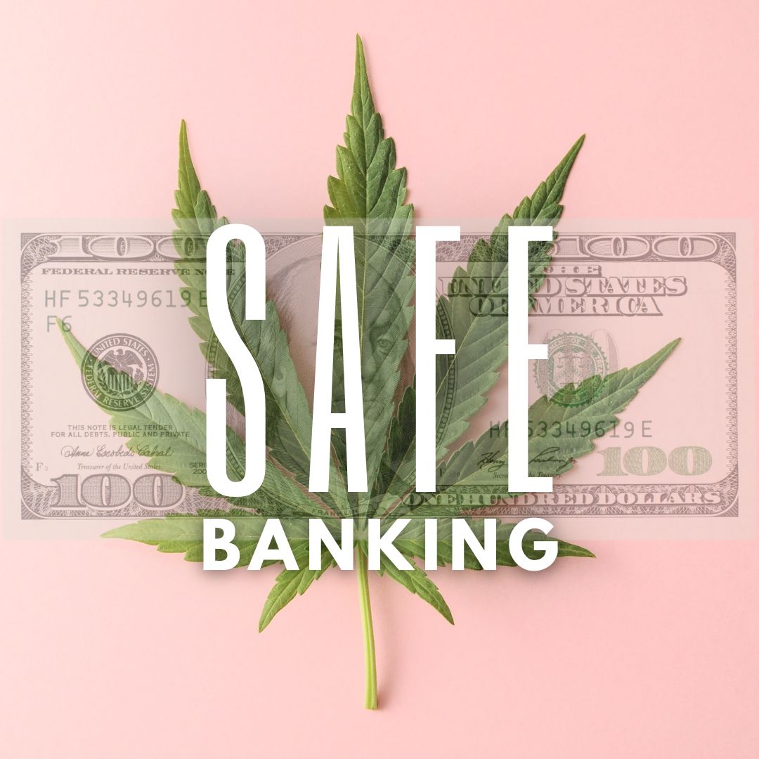 We are helping lead the charge to get this important piece of legislation across the finish line this year!
thecannabisalliance.us/safe-banking/