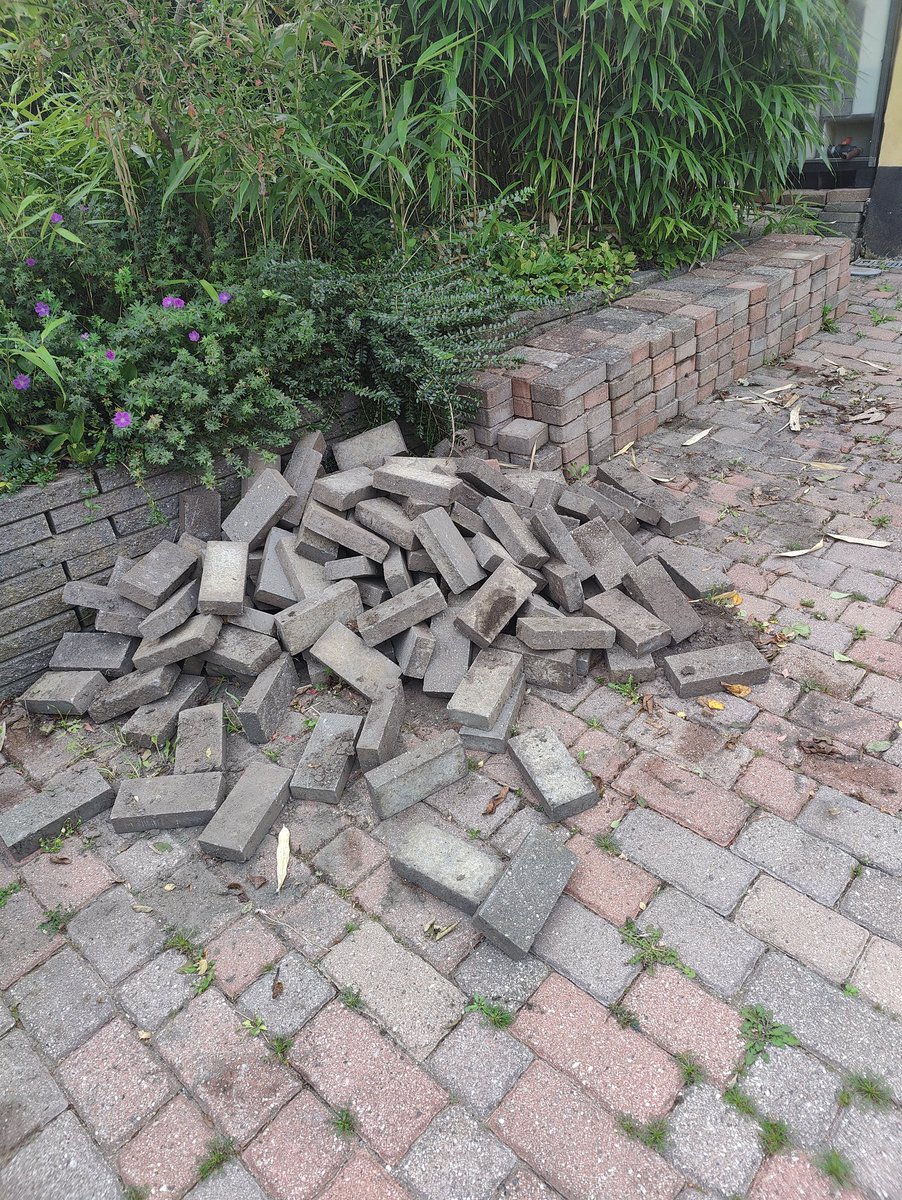 Mike Mikjær tweet media