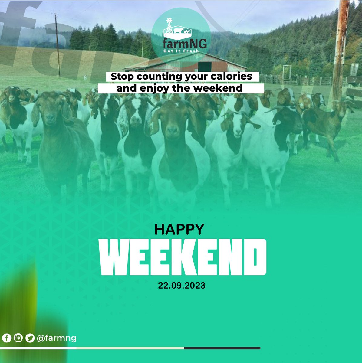 FarmNG_'s tweet photo. It's the weekend 🙈💃.
EAT THAT FOOD! 🫢

#weekend #friday #friday #explorepage
#farminportharcourt #farmersmarket #farmfresh https://t.co/D4Z8dl8CZV