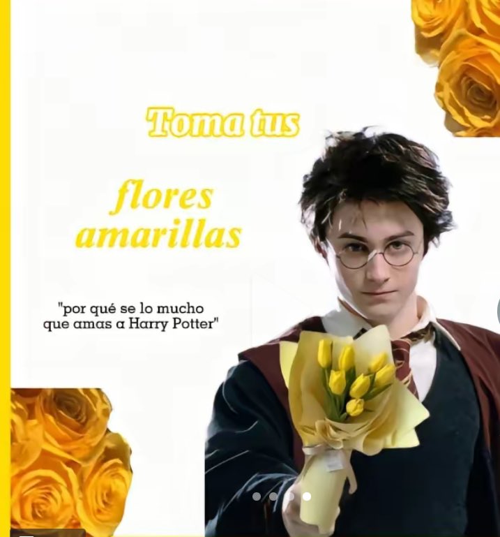 KiK_Peru's tweet photo. 🥹🫶🏻 para quienes aman a. #HarryPotter #FloresAmarillas #Primavera #KiK🌷 https://t.co/WaEQcvEaKd