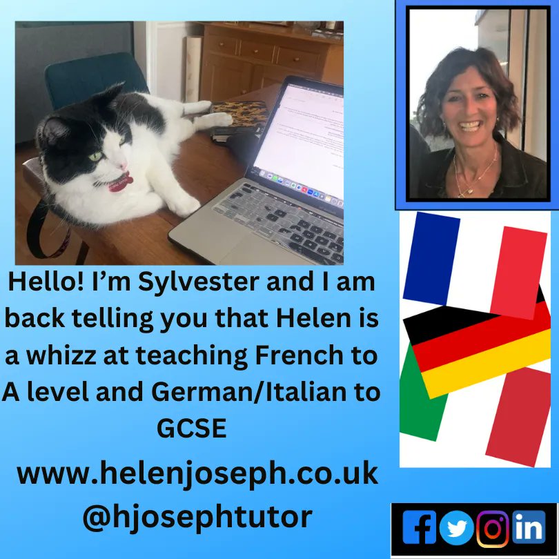 School is back now - does your child feel a bit overwhelmed with #French #German or #Italian lessons? Then some #PrivateTuition might help! Why not pop on to my website to find out how I might be able to help? #Individuallearning #tuition #languages #GCSE #ALevel #IB