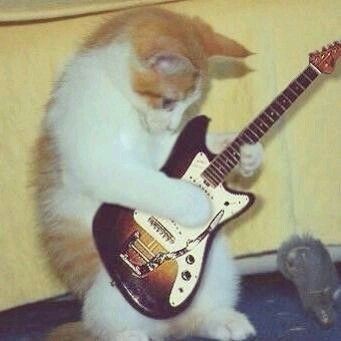 hum_sals's tweet photo. playign,, mi gutar ! ani ricwest ? https://t.co/ROWp9Vdll2