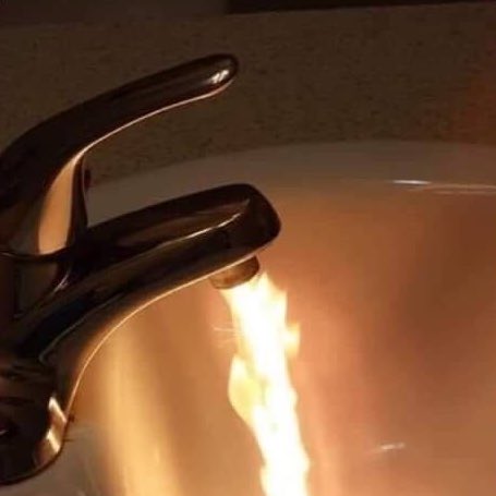 ⠀⠀ ⠀
⠀⠀ ⠀⠀⠀ ⠀⠀⠀ ⠀ ◌ ⏝ ୨  ୧ ⏝ ◌

𝘾𝙐𝙍𝙄𝙊𝙎𝙄𝘿𝘼𝘿𝙀 𝘼𝙉𝙄𝙈𝘼𝙇: Animais de rua. Vs. Calor extremo.

Acredito que todos devem estar reclamando como nunca desse calor insuportável.
Gostaria de lembrá-los daqueles que não conseguem falar +