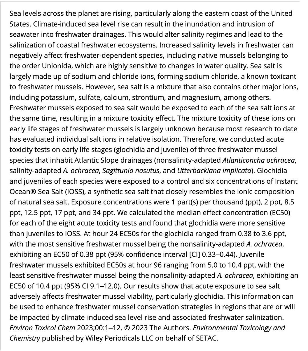 New #AECPublication from AEC alum, Joseph McIver et al., 'Assessing the Toxicity of Sea Salt to Early Life Stages of Freshwater Mussels: Implications for Sea Level Rise in Coastal Rivers' in Environmental Toxicology and Chemistry: buff.ly/3EOv2Vr