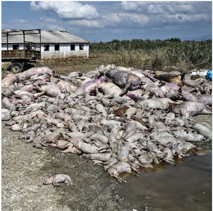 The way climate scientists act and communicate is part of  general denial. Our profession is  being kept in a theoretical vacuum bordering infantility

Wolfgang Knorr <a href="/w_knorr/">Wolfgang Knorr wknorr@bsky.social</a>

The intuitive sense of impending doom

braveneweurope.com/wolfgang-knorr…

#greecefloods #ClimateEmergency