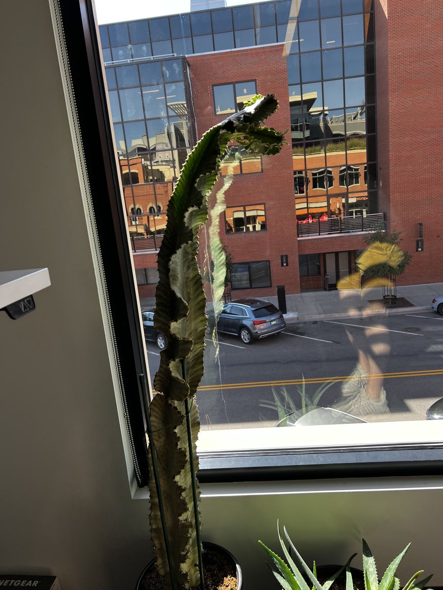 Ian Cairns tweet media