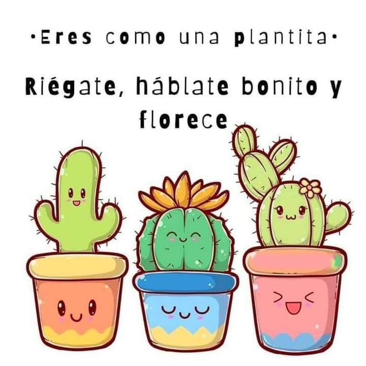 jordaninavarro's tweet photo. ✨️Eres como una plantita✨️ https://t.co/wL58TnUw8t