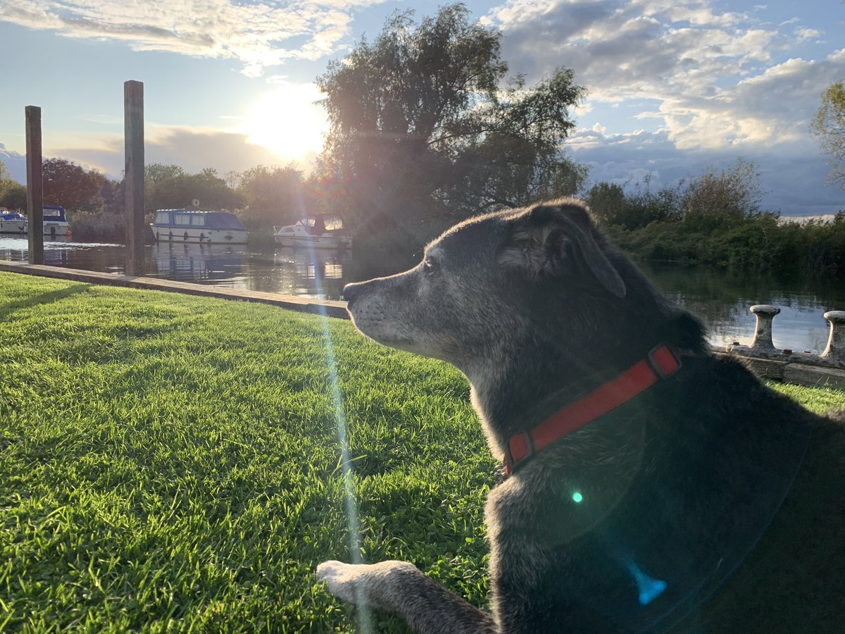 MerlinnotDesmo's tweet image. Twitter pals - I’m on holibobs 😊😊 by the river!