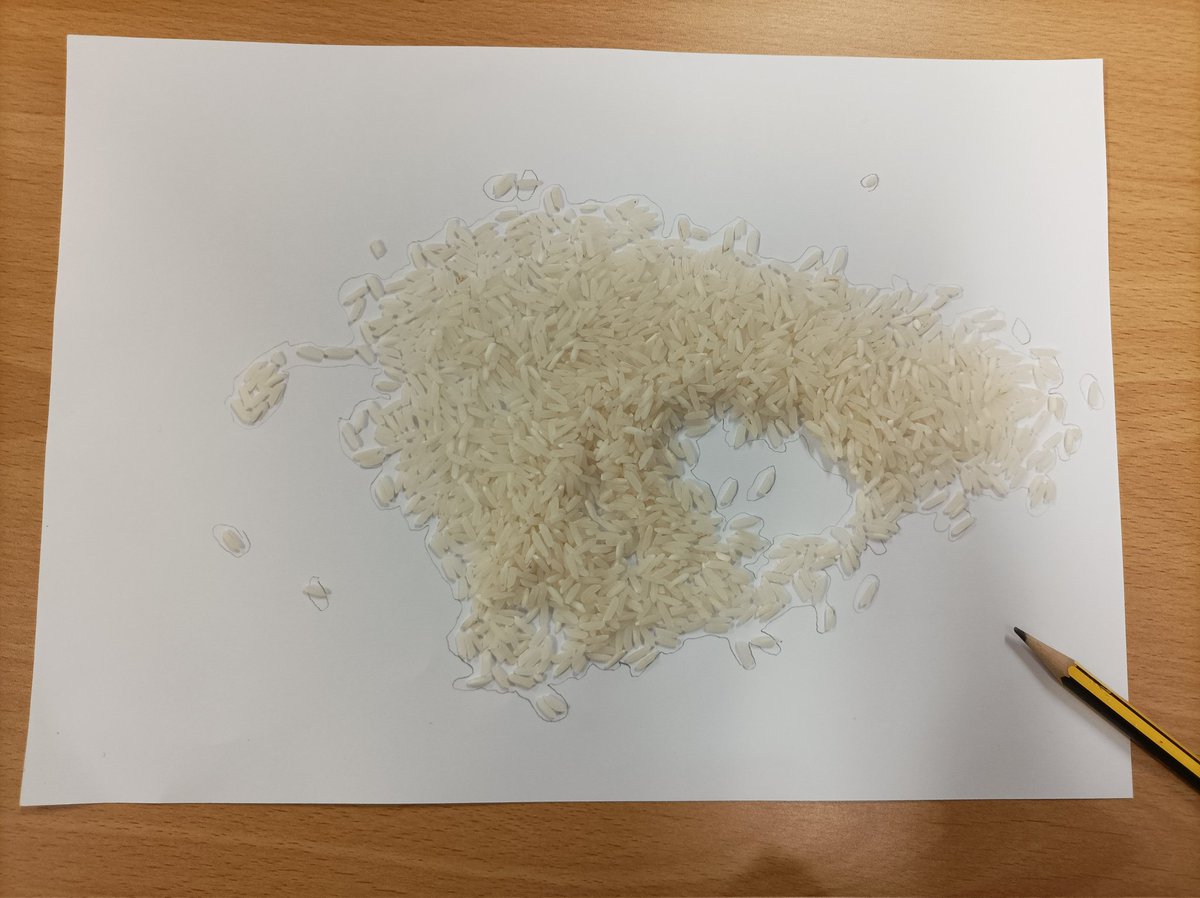 FarmbroughMiss's tweet photo. Making fantasy land out of rice... fabulous #FascinatingFriday today https://t.co/rtbkZ9mdt3