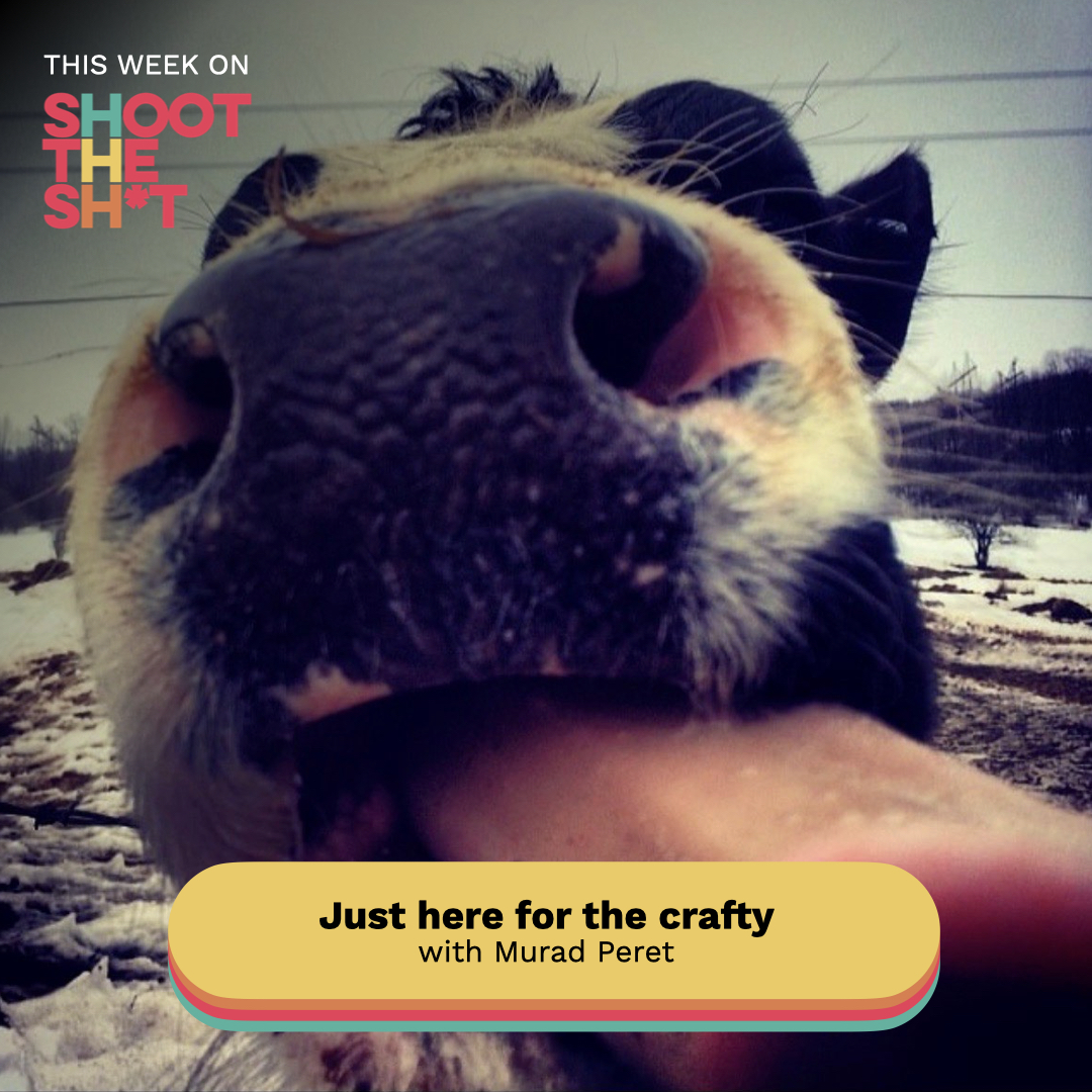NLNShootTheShit's tweet photo. This week on Shoot the Sh*t:
Tell the cow to stop eating the camera department - with @theeRealBuddy

Episode published this week on X @taylor_deff @nbelomestnykh @NoLongerNetwork @nolongerkristen https://t.co/qoLKgJbmWN
