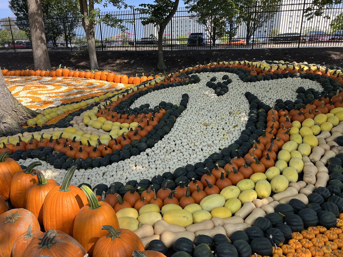 karynlocke's tweet photo. Wow! @cedarpoint is crushing it with the #Halloween decorations this season! 🎃👻🕷️

 #cedarpoint #halloweekends https://t.co/3LnJS6oZvL