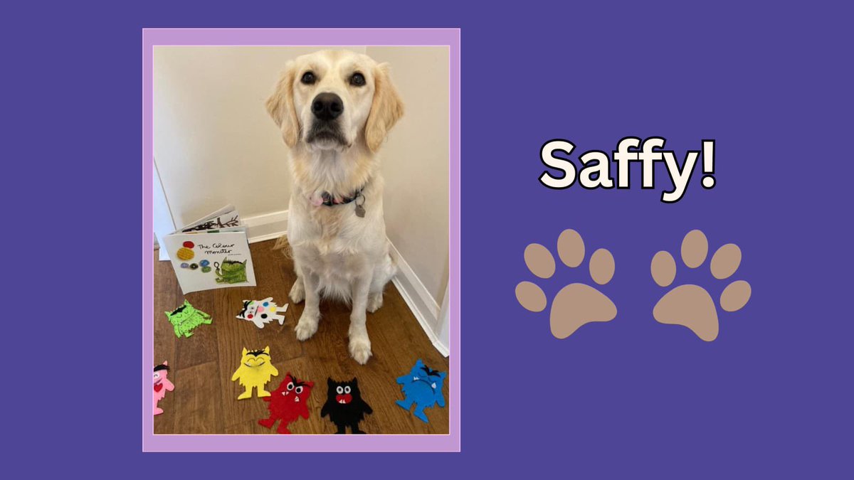 Saffy had a wonderful time at school this week playing with her new friends. She really enjoyed identifying her emotions and, with the help of the children, finding the appropriate colour monsters. #safe #humananimalbond #therapydog