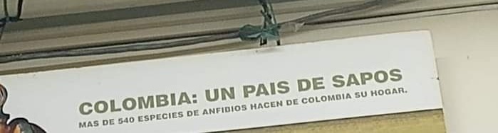 forerolas's tweet photo. definitivamente https://t.co/aBcMlqZCSC