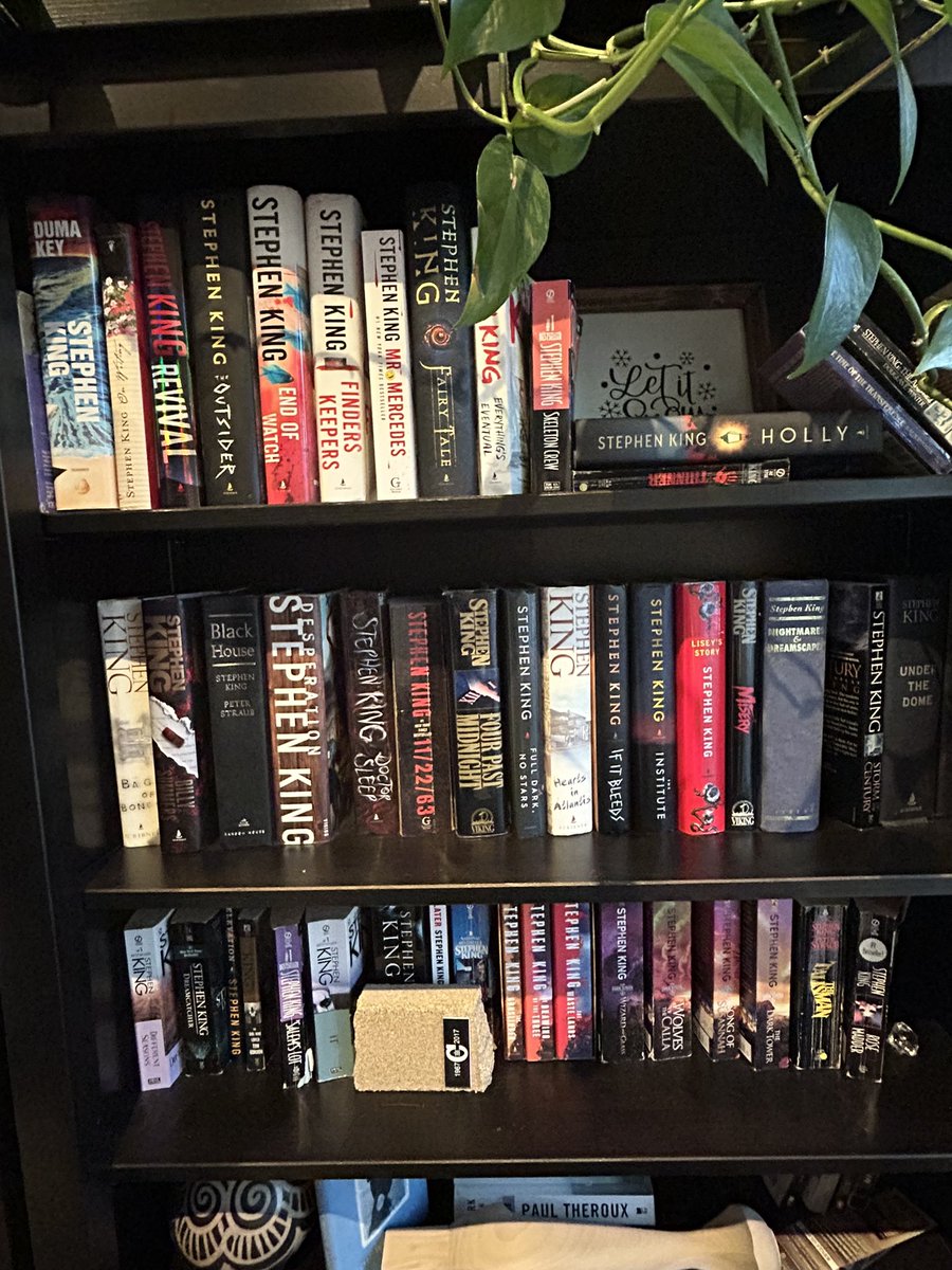djstarrwrites's tweet photo. @StephenKing  Thanks for filling up the bookcase. Would love to see other collections #StephenKing https://t.co/5qTRgRdWdn