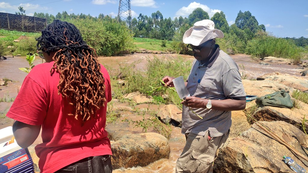 At Angola village in Mumias Central Ward with the team, looking for larvae and pupa stages of simulium

#onchocerciasis
#endingtheneglect
#BeatNTDs 
#onchoeliminationkenya