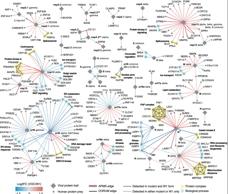 Rogue Virologist tweet media