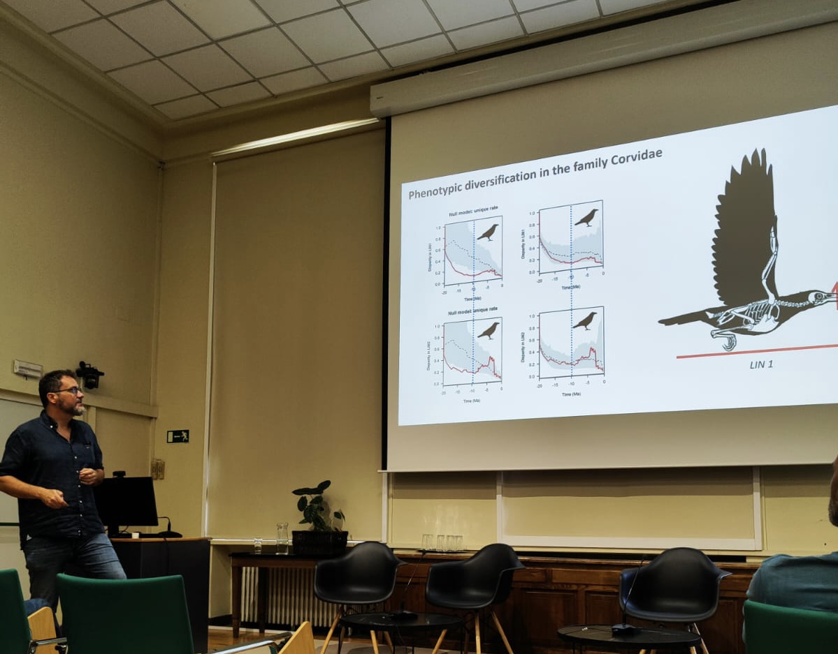 Thanks to @mncn_csic for inviting me to talk about crows, intelligence and global expansions. Returning to one of the country's most longstanding research institutions is always a delightful experience.