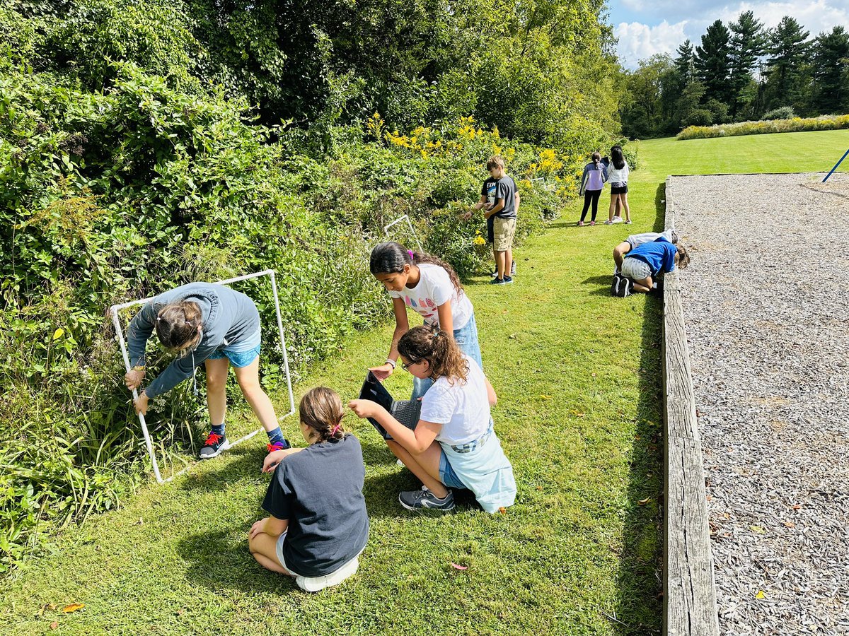 ProfKindred's tweet image. That moment you upload your plant photo to @inaturalist and discover it’s an invasive species… 😱 #Science #fifthgrade #beartavernpride