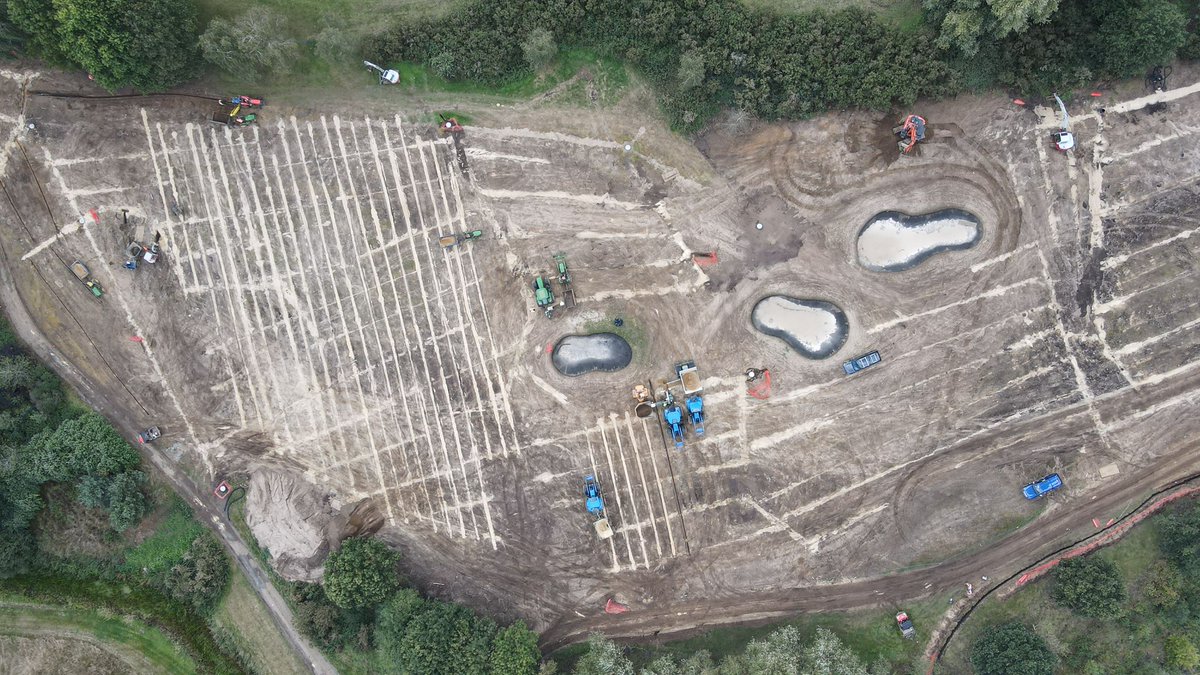 The Dimpled Egg tweet media