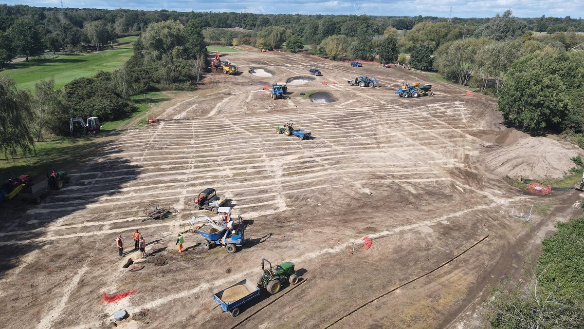 The Dimpled Egg tweet media