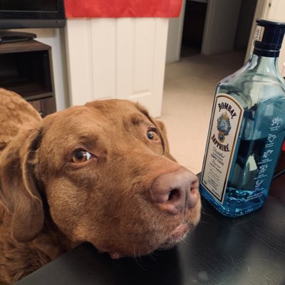 ChessieChance's tweet photo. #NewProfilePic https://t.co/g7L4sYxXl4