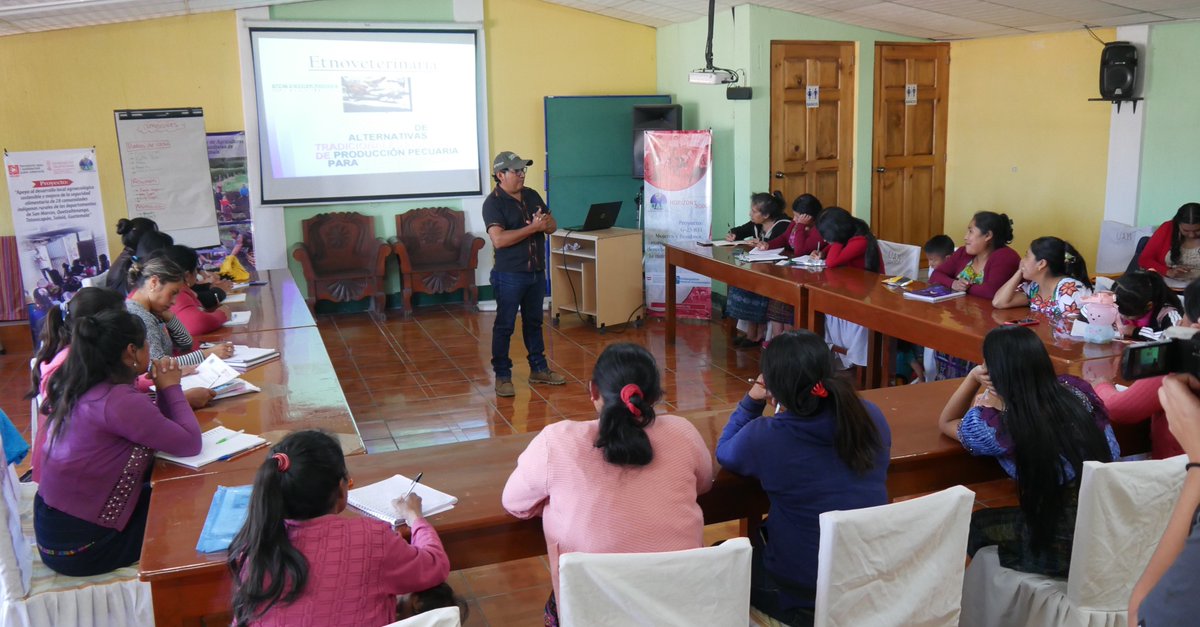 HORIZONT3000 - América Central tweet media