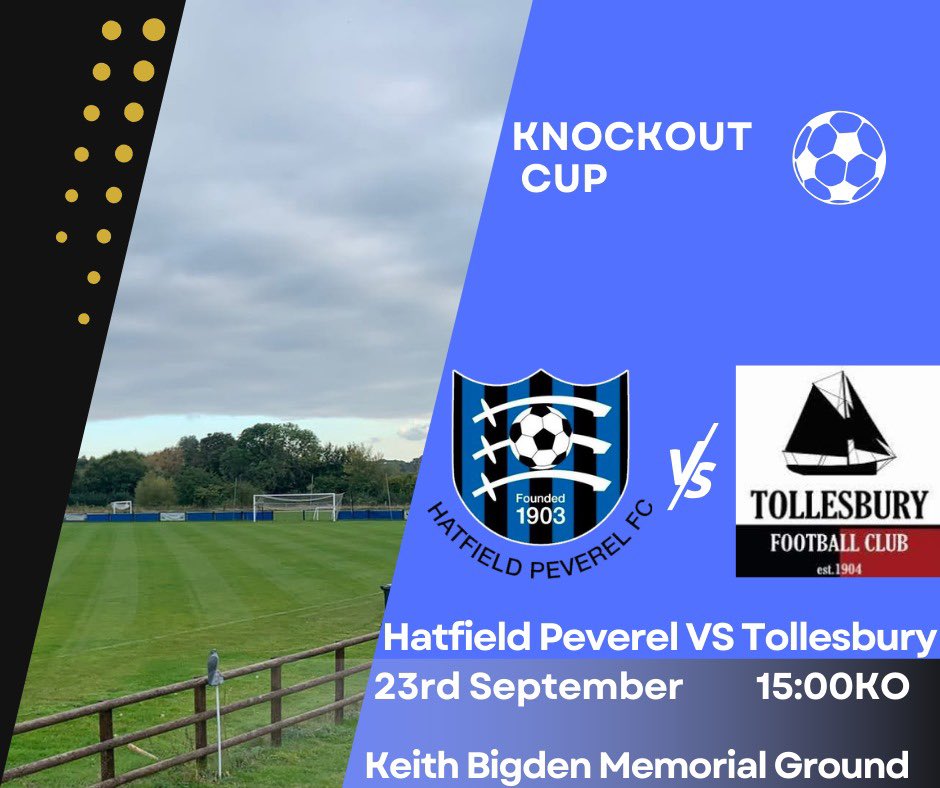 Hatfield Peverel FC tweet media