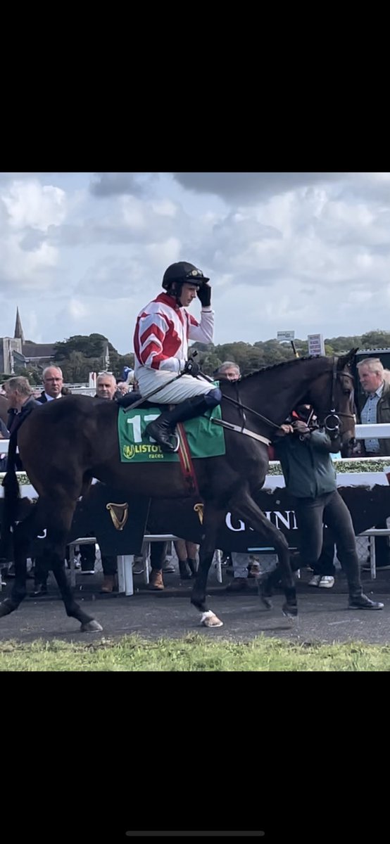 jamesfent's tweet image. Failed to get a winner @ListowelRaces this year but delighted with River Tara @PTownend @WillieMullinsNH 2nd 🥈 for the gang @your_curb , congrats to winners @HenrydeBromhead &amp;amp; @rachaelblackmor #Tagman