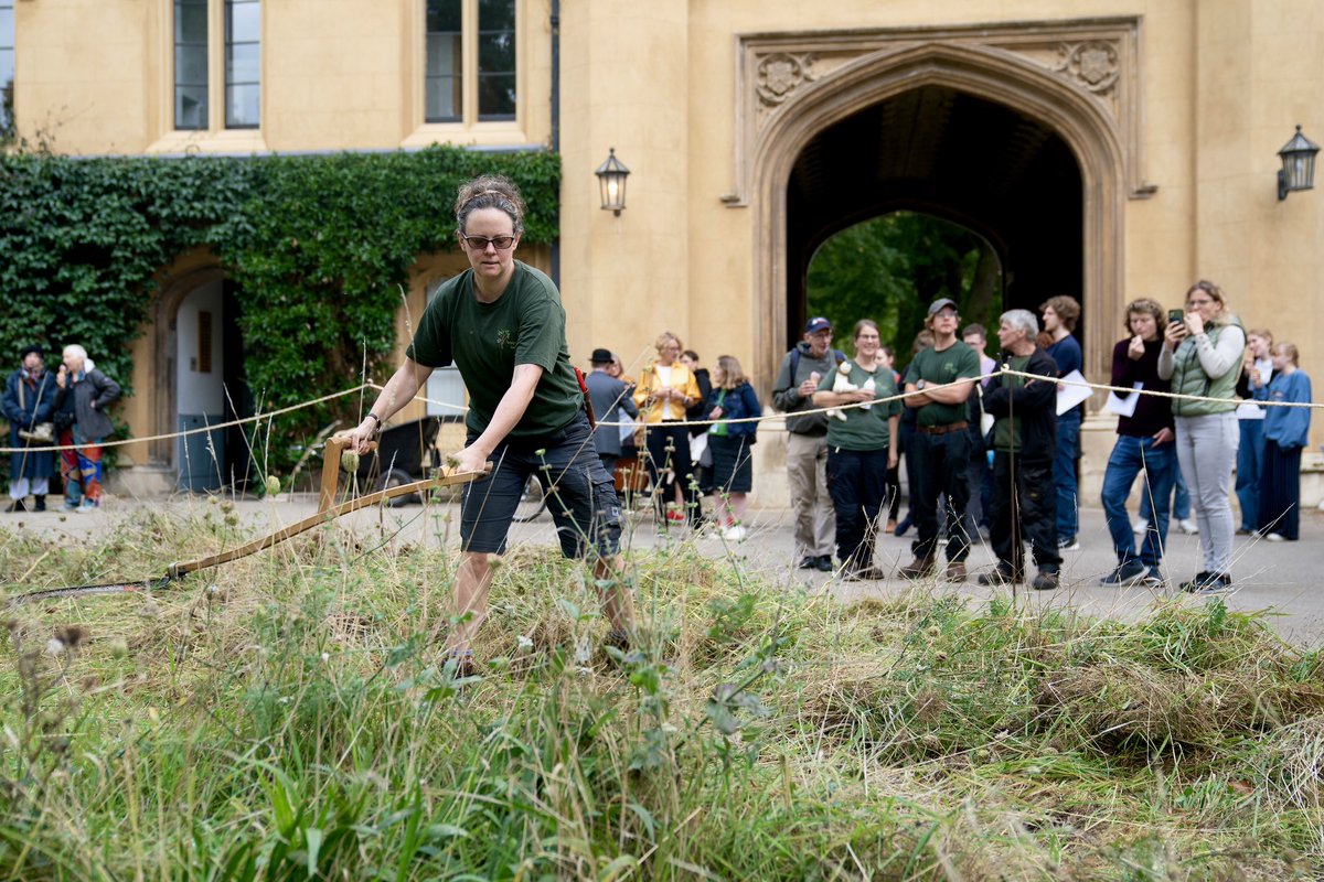 Joe Giddens tweet media