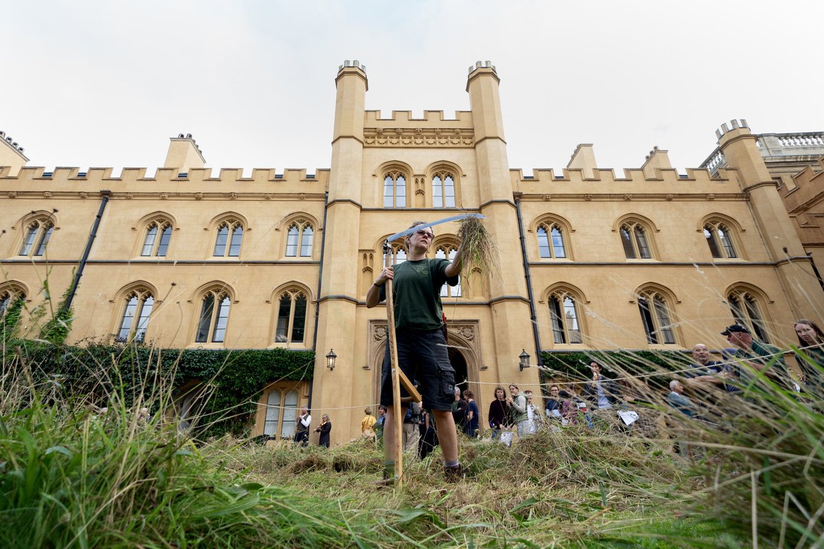 Joe Giddens tweet media