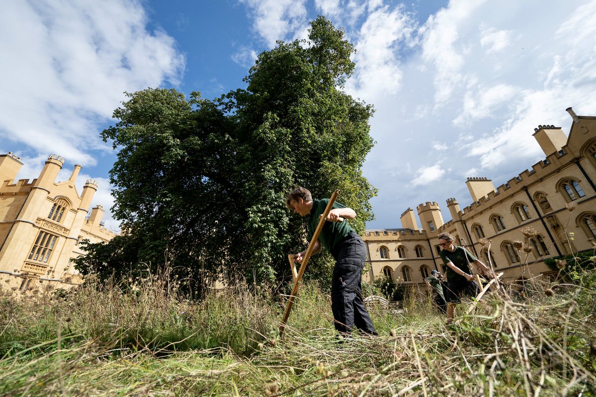 Trinity College gardeners Dr Jo Miles and Joharna Richards and Trinity Fellow Professor Marian Holness mow the Meadow Circle in New Court of Trinity College in Cambridge. Mowing or scything is a centuries-old tradition believed to have been practised at Trinity before lawnmowers
