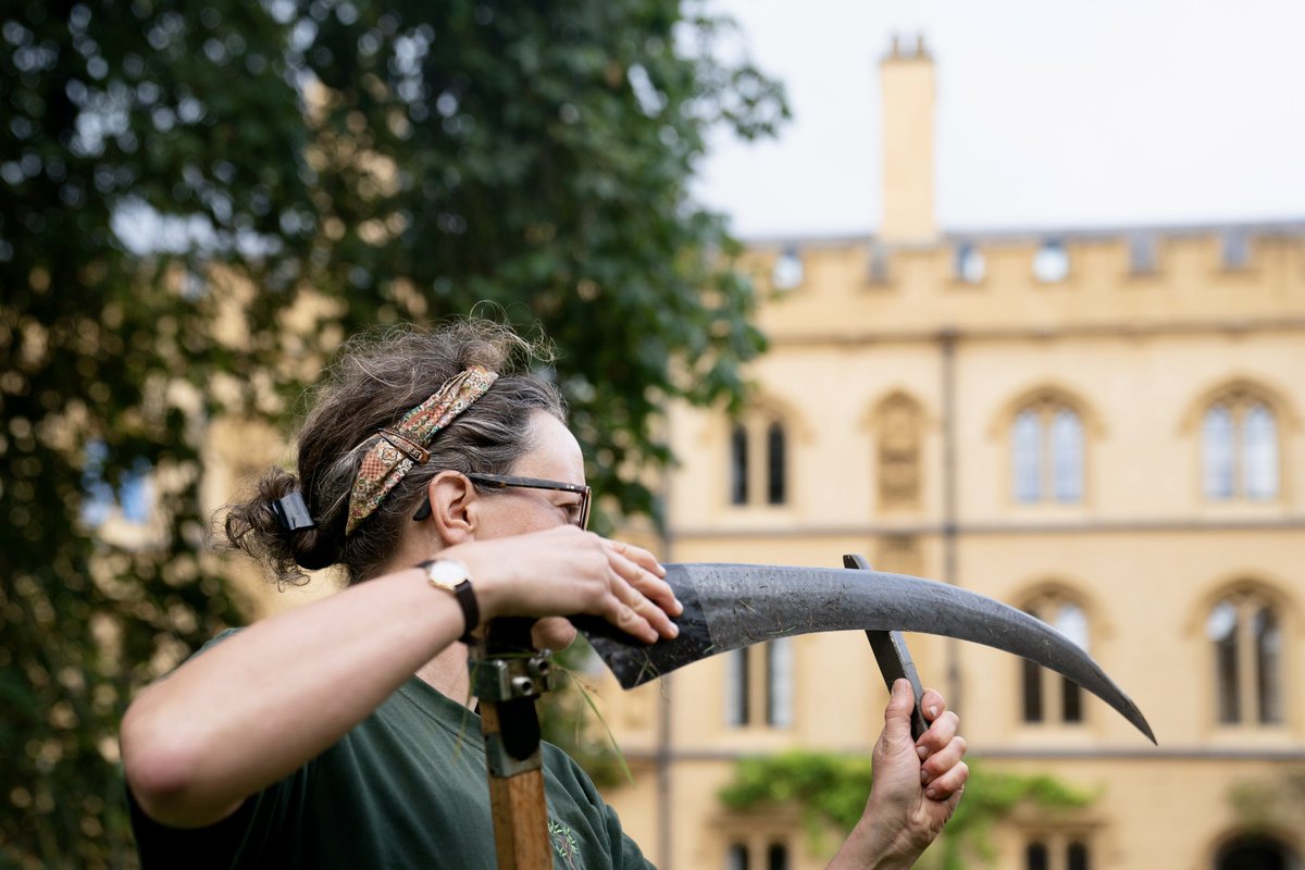 Joe Giddens tweet media