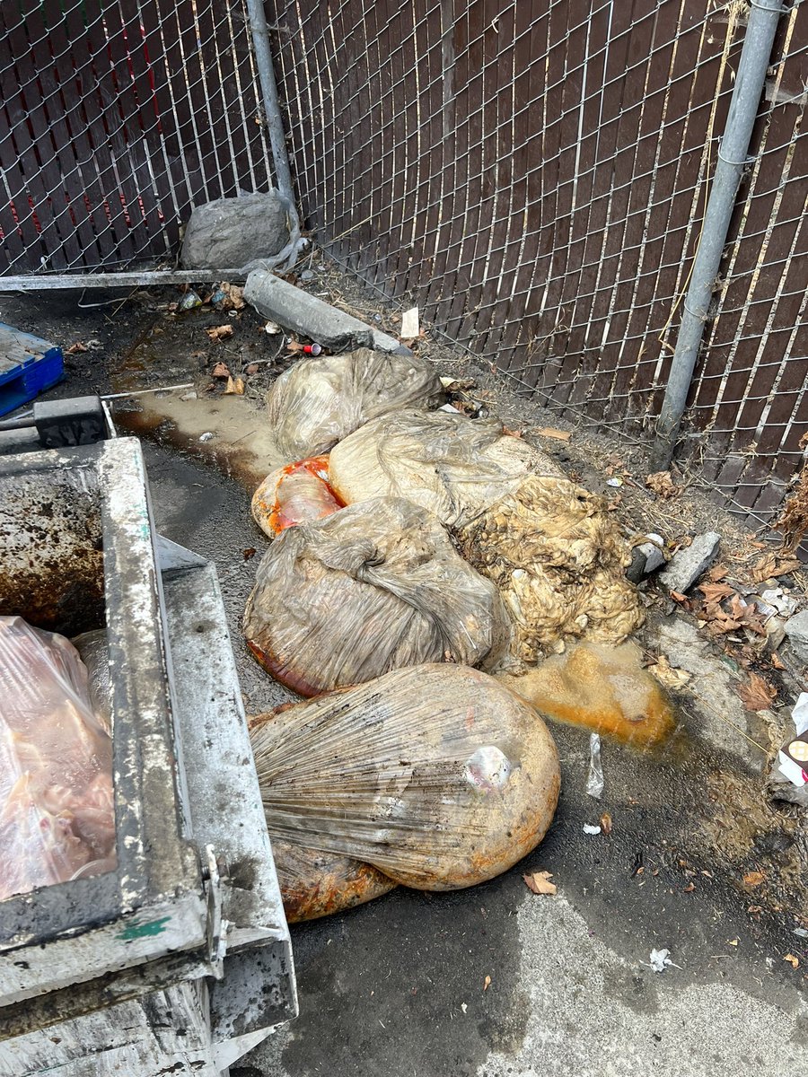 This is how trash is being left behind the bldg that houses #ShalimarIndianCuisine on the corner of Village Pkwy &amp; Amador Vly Blvd (only restaurant in bldg).  This is a biohazard &amp; shouldn’t be permitted. <a href="/DublinPIO/">City of Dublin, California</a> what can be done about this.   This is absolutely disgusting!