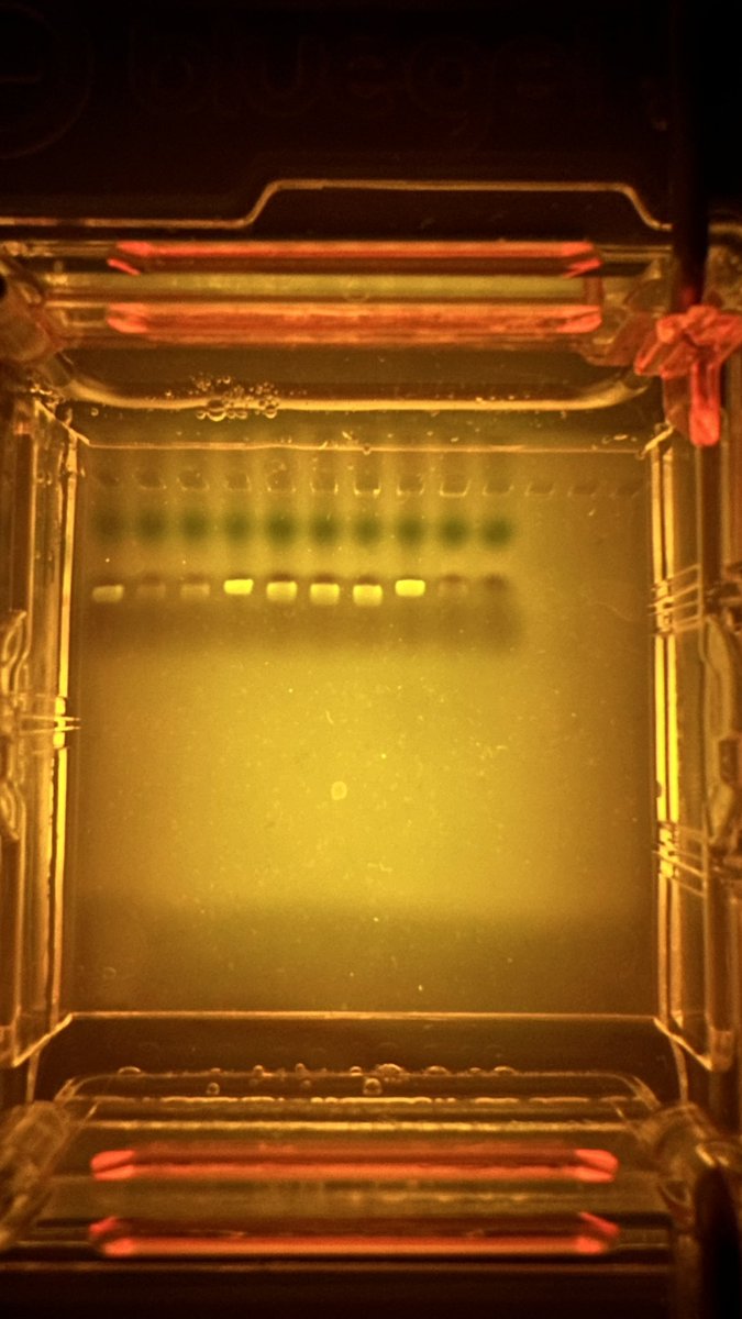 Josh McGinnis tweet media