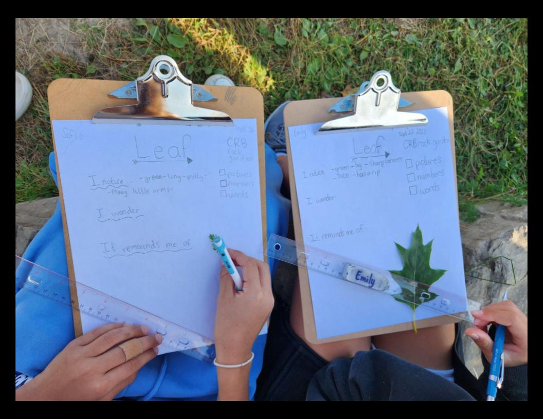 🌿Grade 5, 6, and 7 students at @CRBPS joined forces to delve into the world of nature journaling. 🌳🦋 Using the prompts 'I notice, I wonder, it reminds me of,' they embarked on a journey to connect with nature on a deeper level.🌼🔍