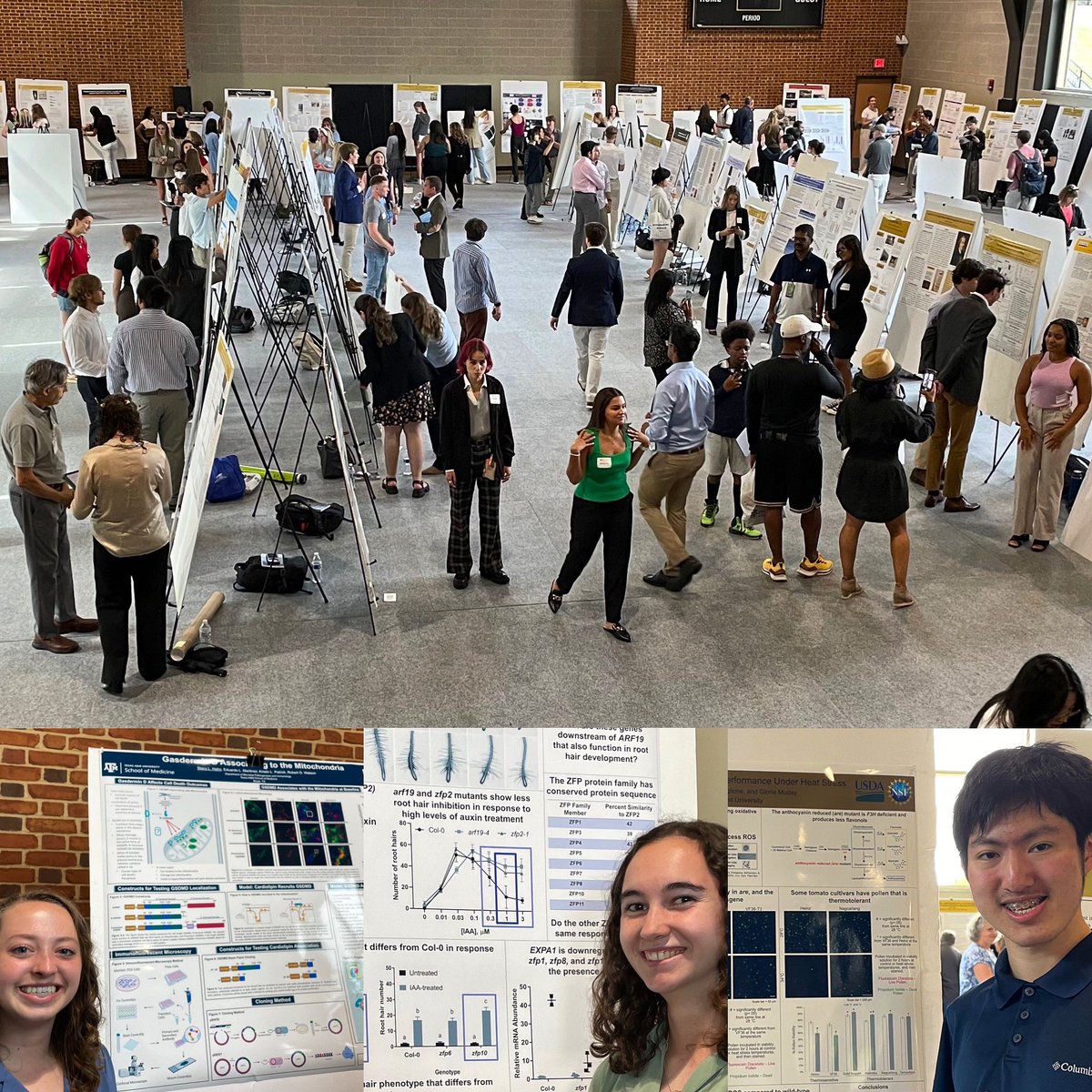 finxiealot's tweet photo. Muday lab represented! Look at these smart young scientists. #ureca #wfubiology https://t.co/4MRxqpw8C9