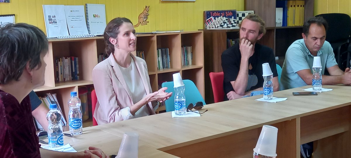 Balkan Sunflowers Kosova tweet media