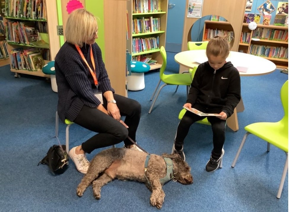denver_vc's tweet photo. We were so excited to welcome Pip, the reading dog, and his owner Fran to school on Wednesday to listen to some of our children read.  He will be visiting every week and the children really enjoy reading to him.  Thank you Pip and Fran! #readingdog @WensumEngHub @YourLocalPaper https://t.co/rqHwfRtnAy