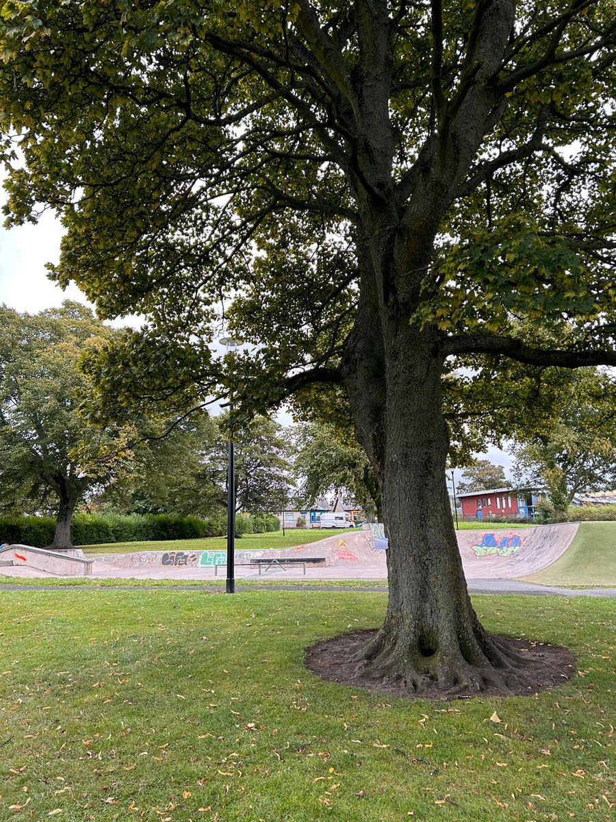 NewtongrangePS tweet media