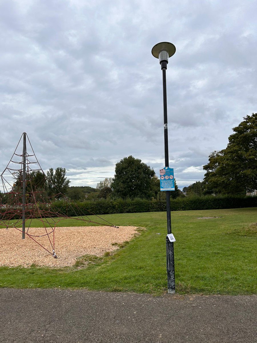 NewtongrangePS tweet media