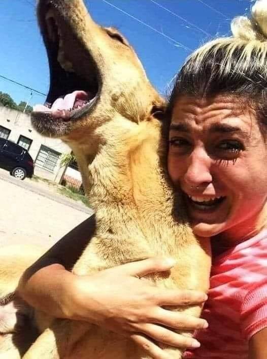 The dog was stolen from this woman, she gave up her job to be able to search for him intensively. Three months later, she found him at the other end of the country. Here’s the moment of happiness when they finally saw each other again. ♥️