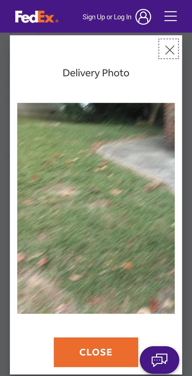 Ashley Ellis Ross // Parma Jawn tweet media